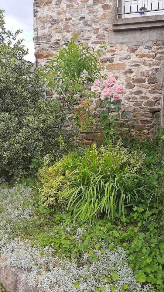 Casa Do Hiebra Alojamiento Rural Ribeira Sacra Castroncelos المظهر الخارجي الصورة