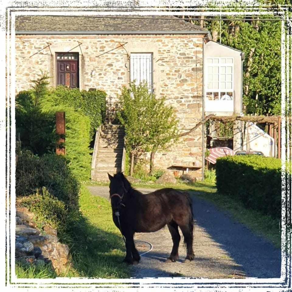 Casa Do Hiebra Alojamiento Rural Ribeira Sacra Castroncelos المظهر الخارجي الصورة