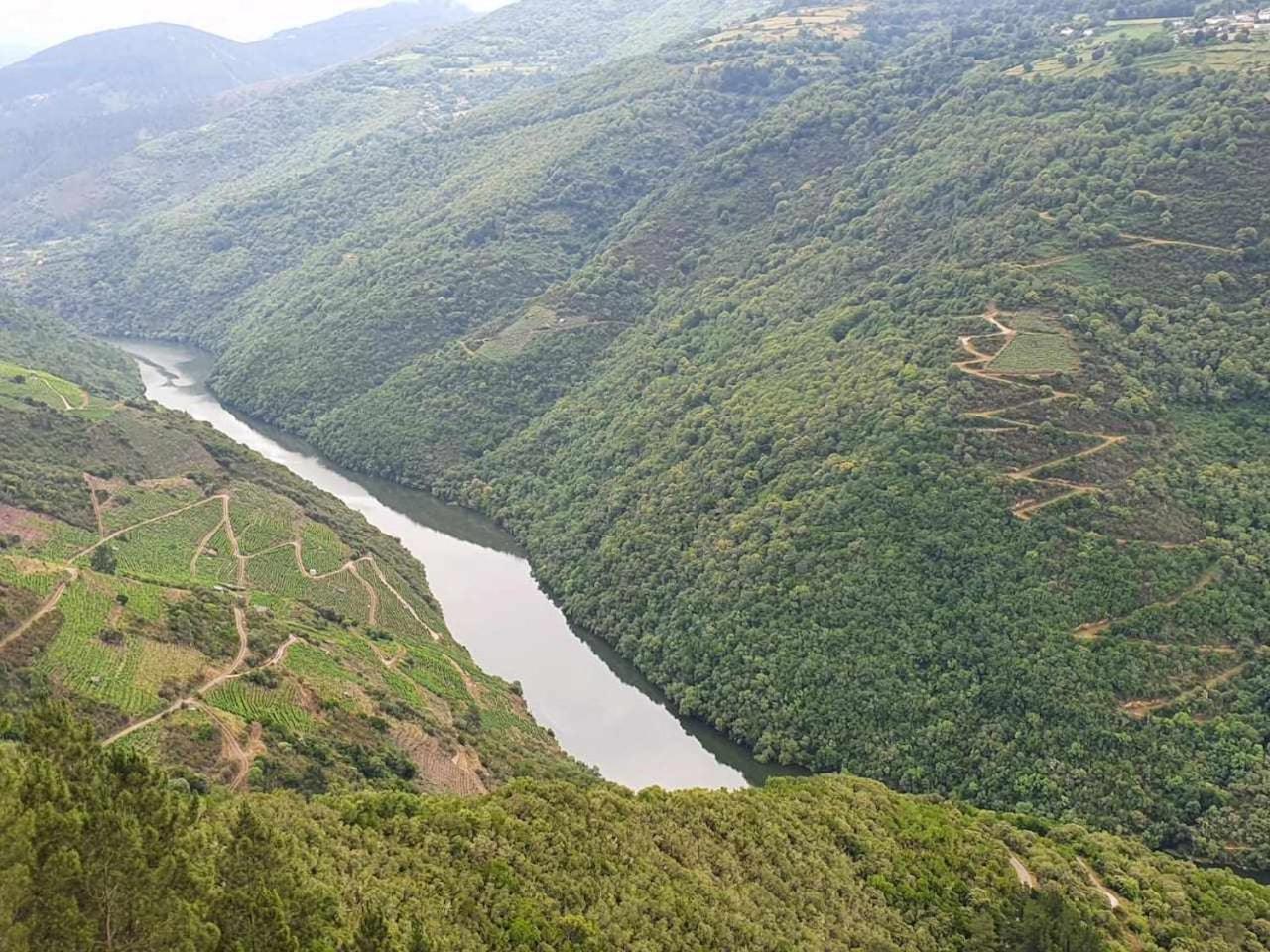 Casa Do Hiebra Alojamiento Rural Ribeira Sacra Castroncelos المظهر الخارجي الصورة