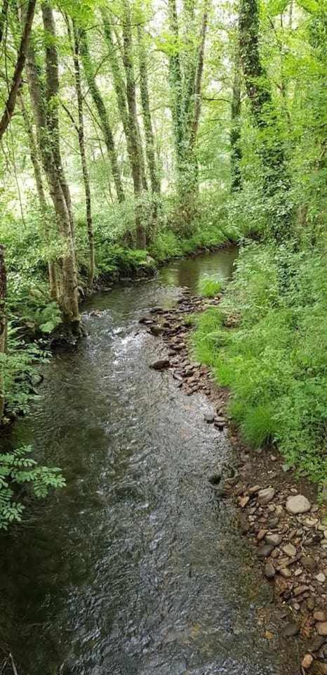 Casa Do Hiebra Alojamiento Rural Ribeira Sacra Castroncelos المظهر الخارجي الصورة
