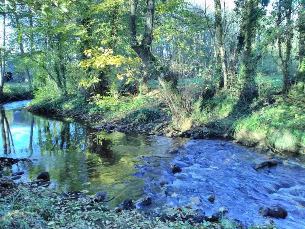 Casa Do Hiebra Alojamiento Rural Ribeira Sacra Castroncelos المظهر الخارجي الصورة