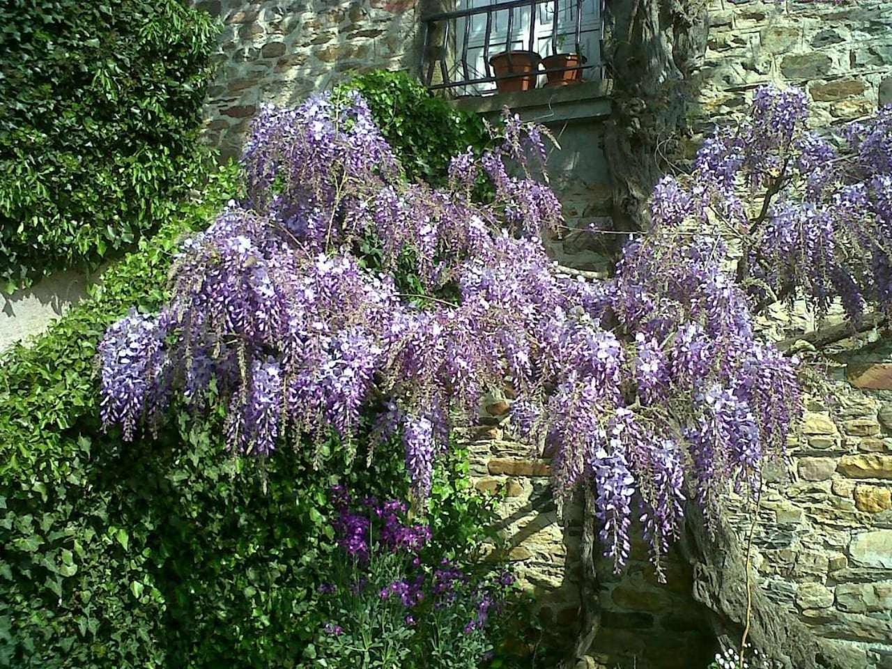 Casa Do Hiebra Alojamiento Rural Ribeira Sacra Castroncelos المظهر الخارجي الصورة